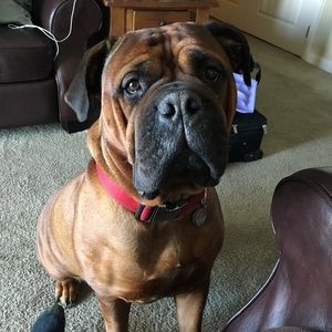 Meet your Posher, Alissa